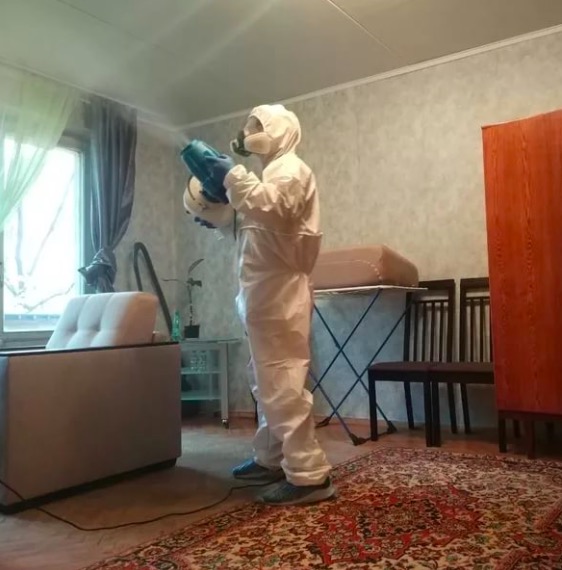 дезинсекция квартиры в Заречном